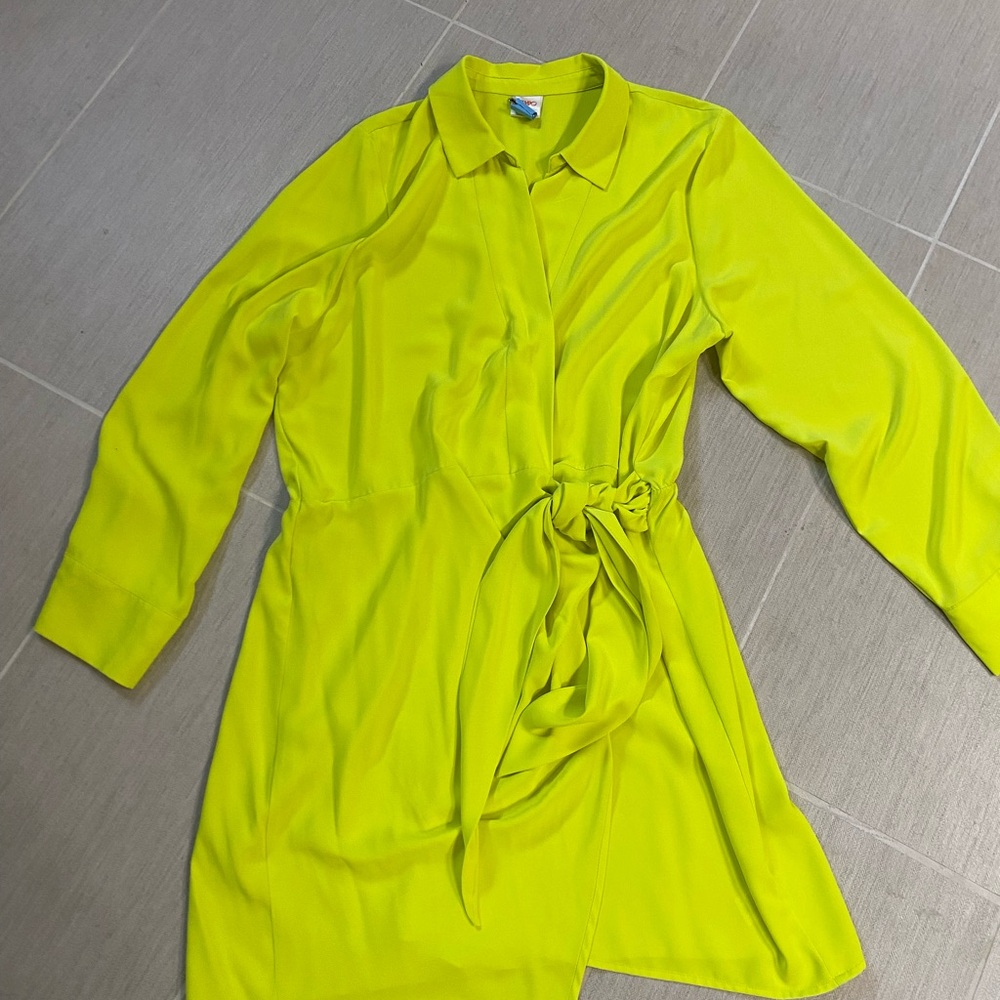 Elegant Lime Long Sleeve Dress